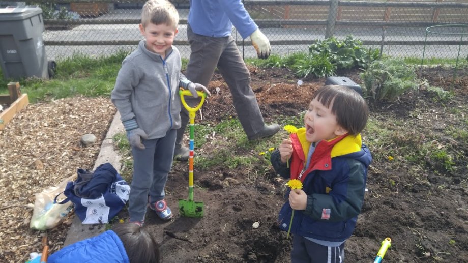 Tot Lot Park - Foto 9