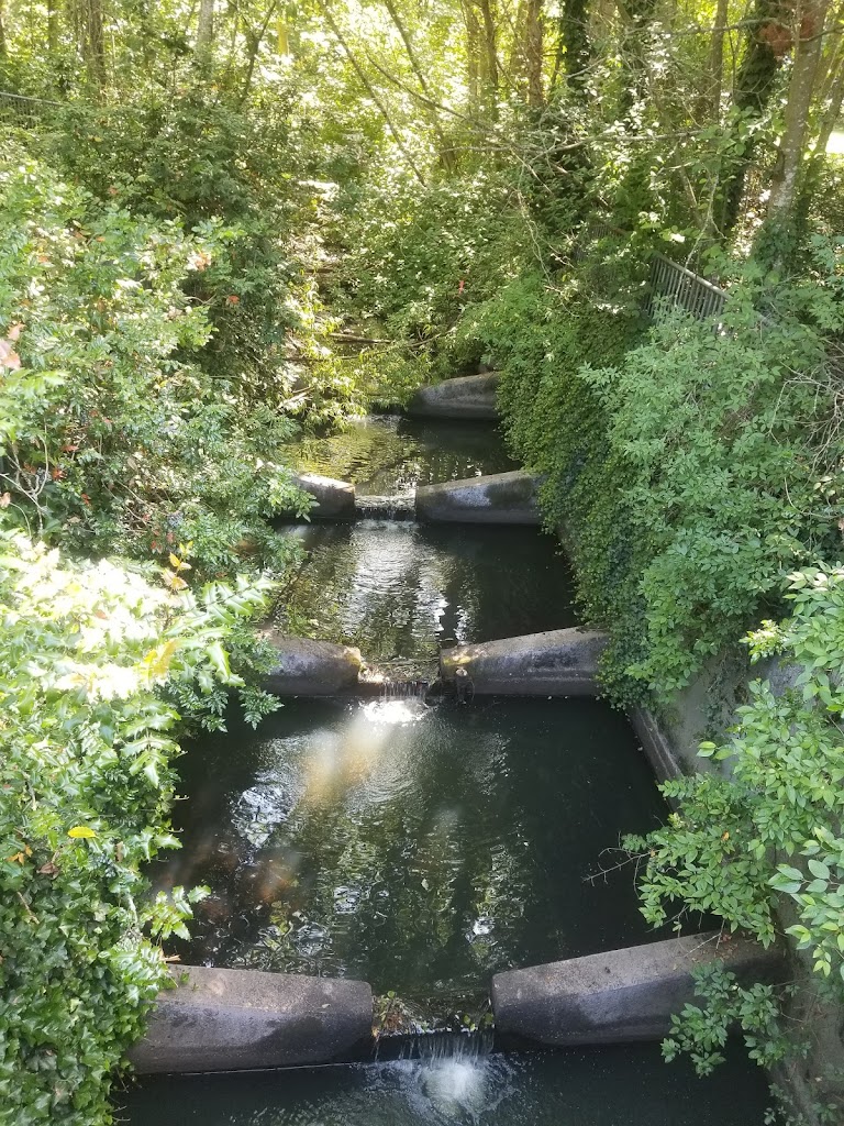 Cornwall Park - Foto 1