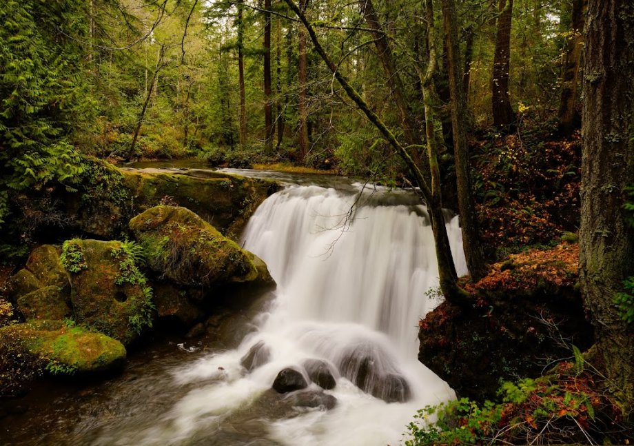 Whatcom Falls Park - Foto 2