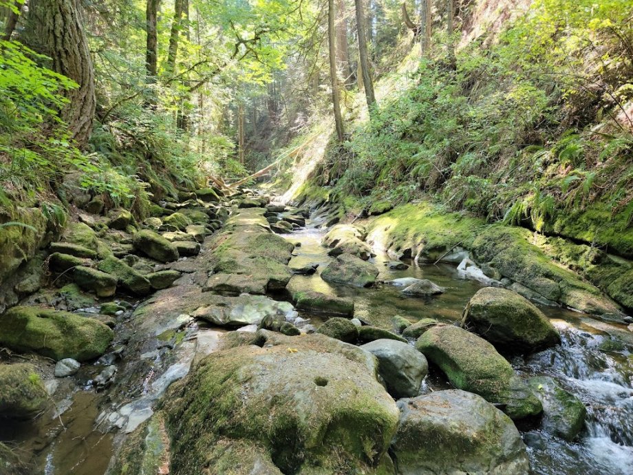 Whatcom Falls Park - Foto 4