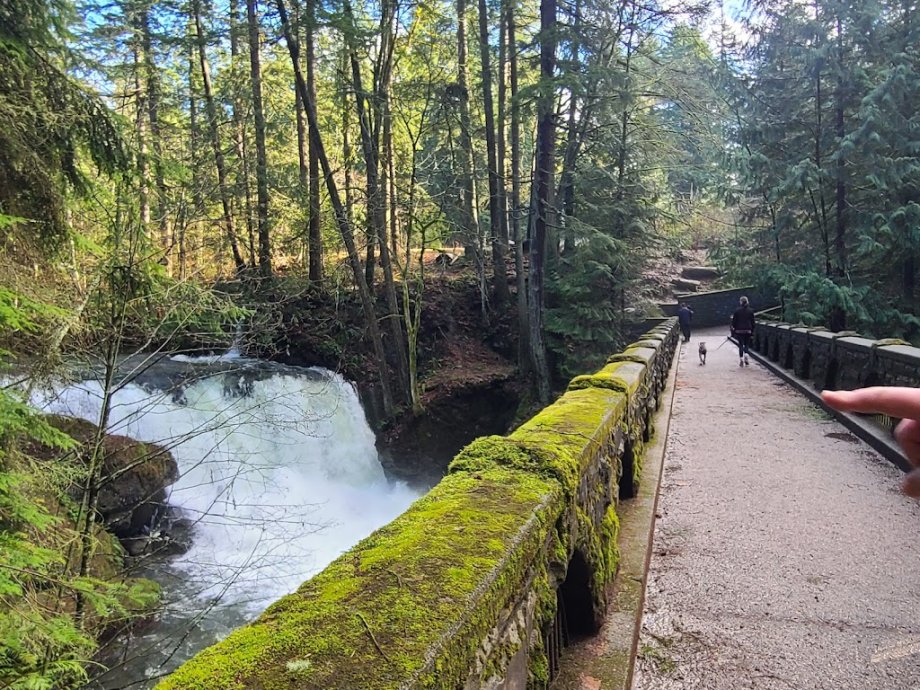 Whatcom Falls Park - Foto 5