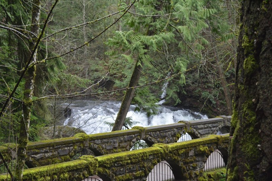Whatcom Falls Park - Foto 8