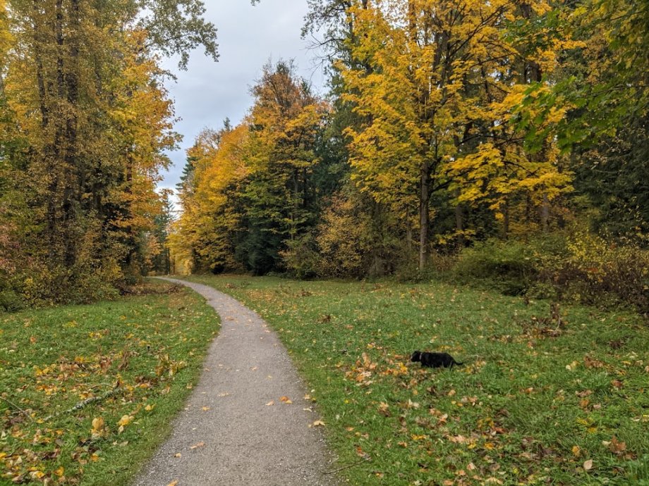 Whatcom Falls Park - Foto 9