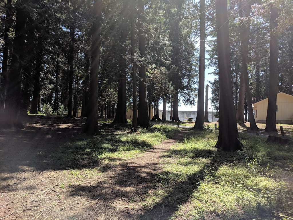 Lynden City Park - Foto 1