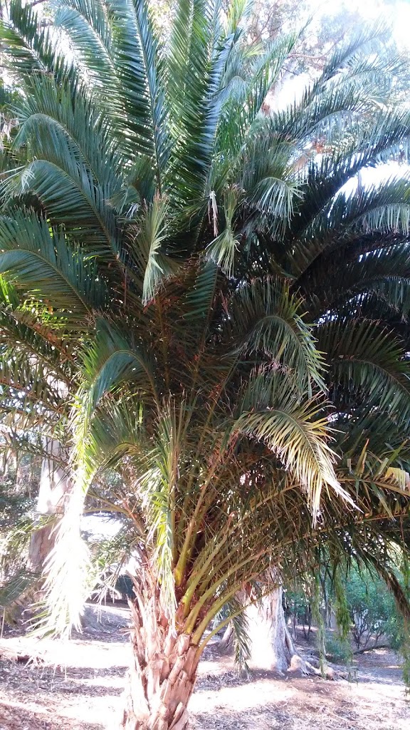 Indian Springs Park - Foto 5