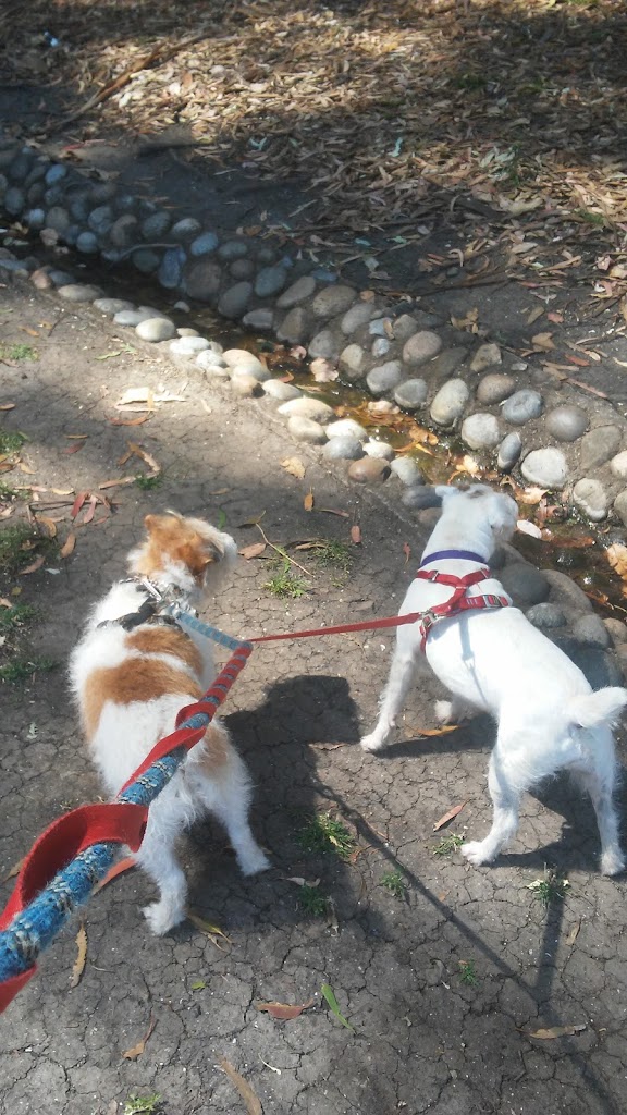 Indian Springs Park - Foto 6