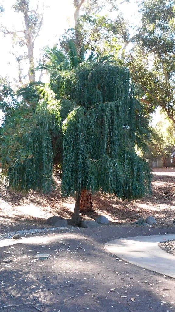 Indian Springs Park - Foto 7