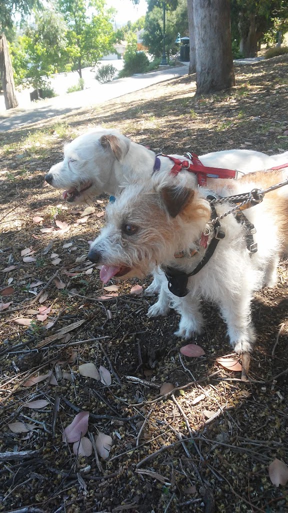 Indian Springs Park - Foto 10