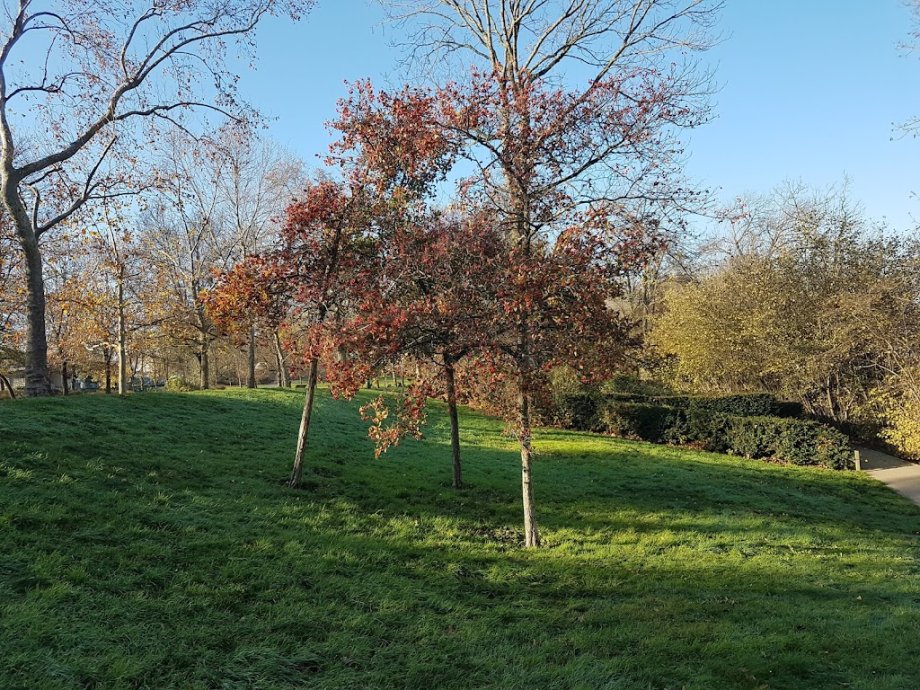 Parc départemental du Rancy - Foto 4