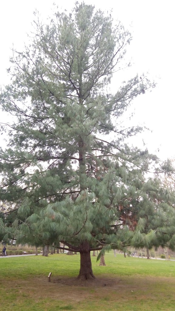 Parc départemental du Rancy - Foto 1