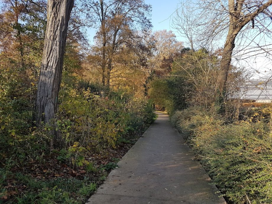 Parc départemental du Rancy - Foto 9