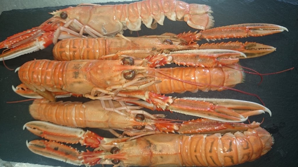 Mesón Xerfa - Foto 1