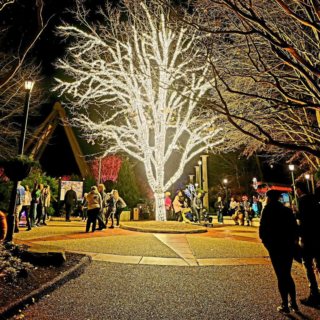 Busch Gardens Williamsburg - Foto 1