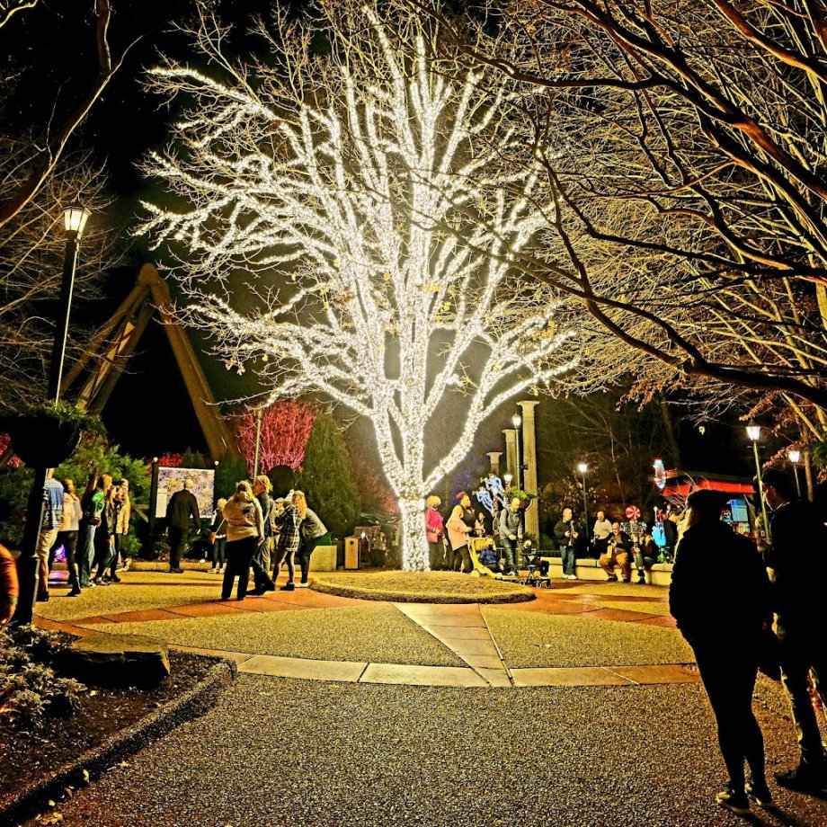 Busch Gardens Williamsburg - Foto 5