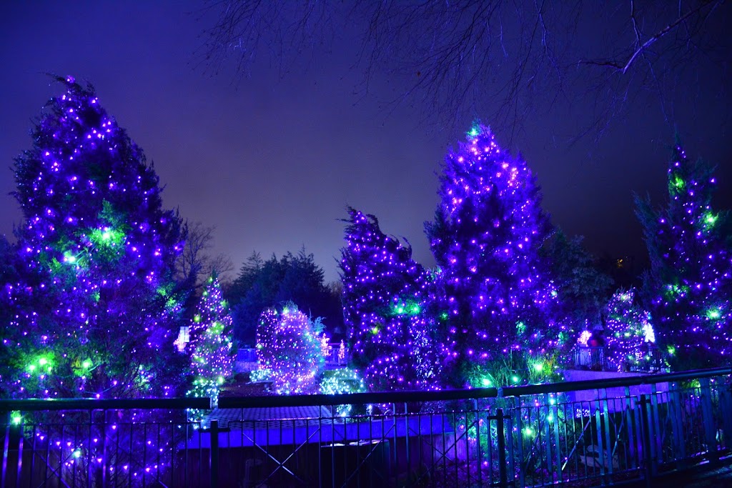 Busch Gardens Williamsburg - Foto 1