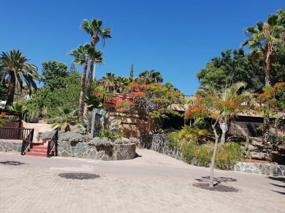 Aqualand Maspalomas - Foto 10