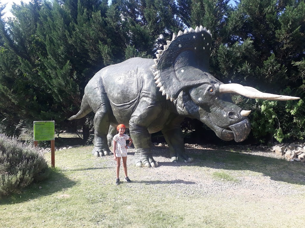 Arca de Noé - Parque de Aventura - Foto 1