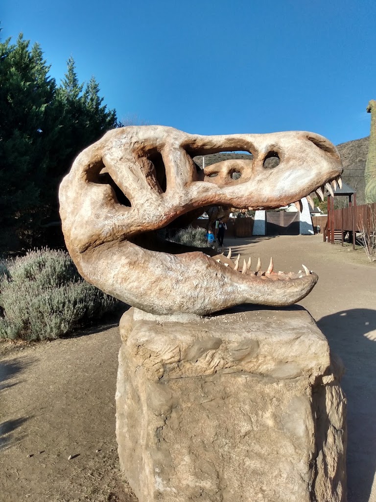 Arca de Noé - Parque de Aventura - Foto 1