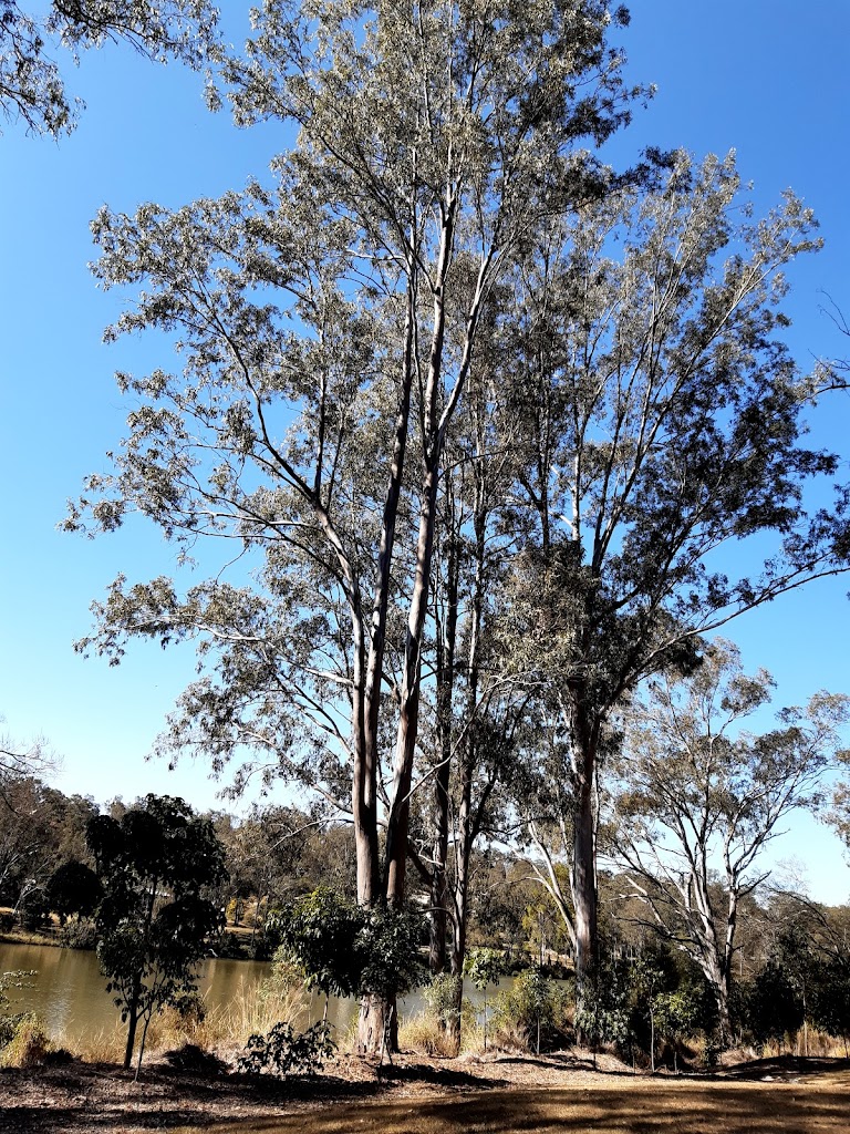 Amazons Place Park - Foto 1