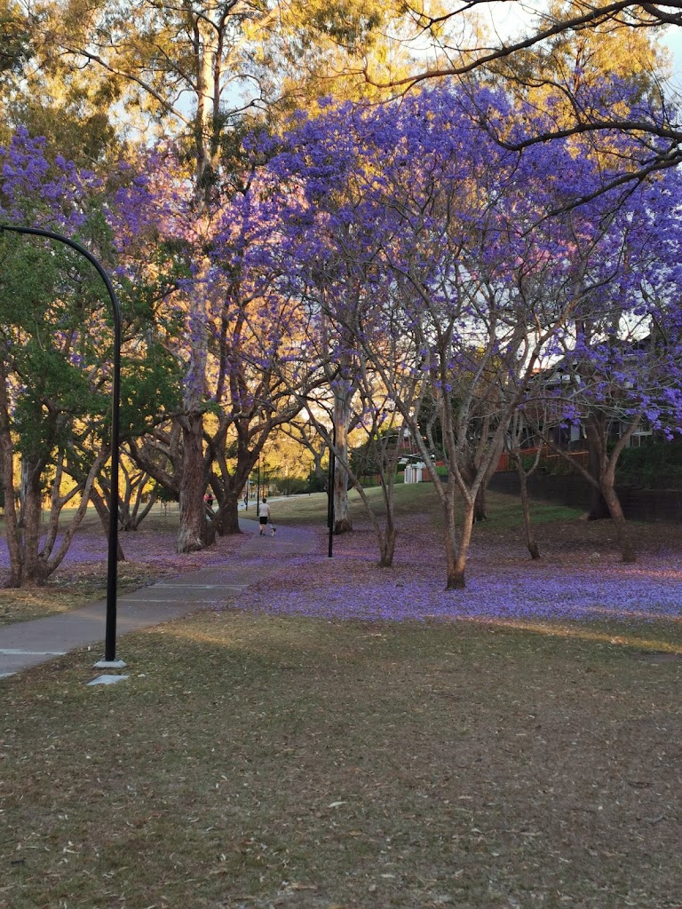 Amazons Place Park - Foto 1