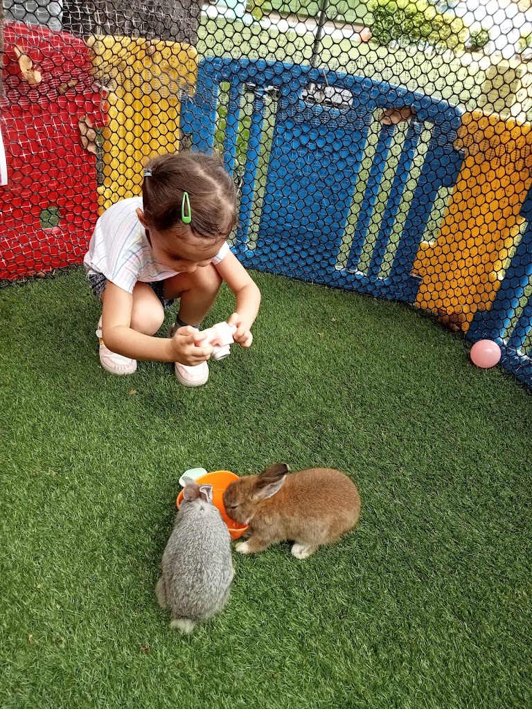 The Rabbit Cup Cafe - Foto 8