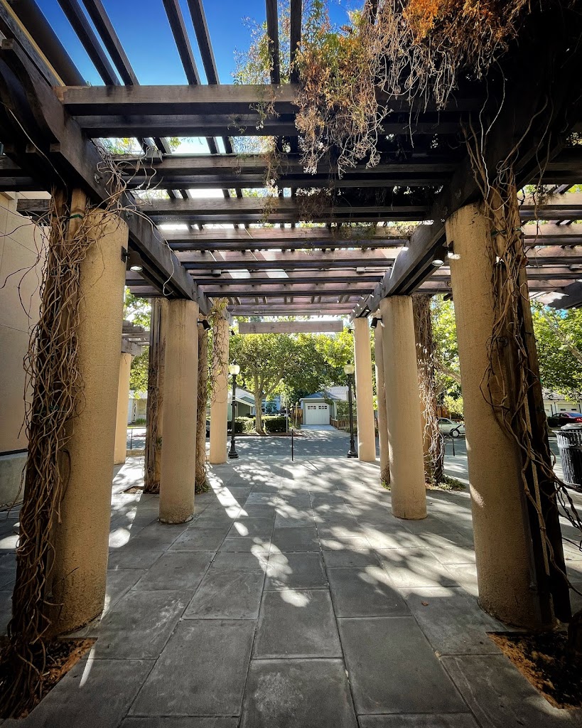 Mountain View Public Library - Foto 5