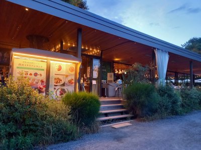PARK in CAFE bird tree