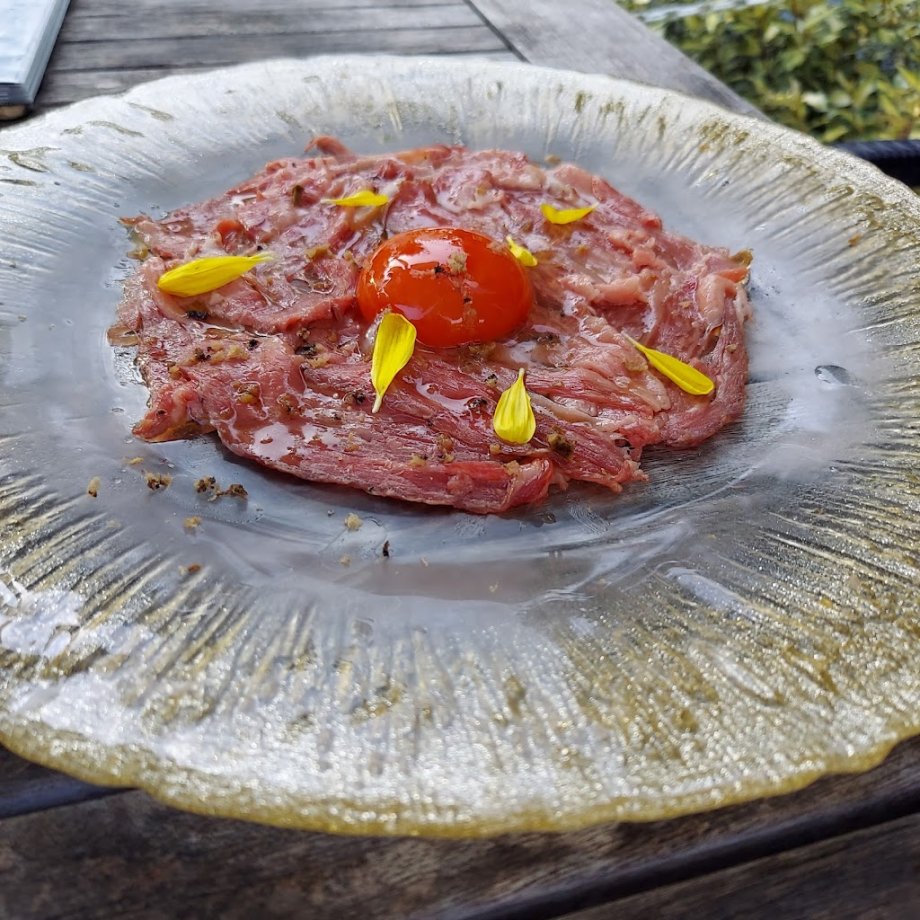 PARK in CAFE bird tree - Foto 3