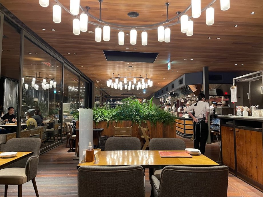 PARK in CAFE bird tree - Foto 11