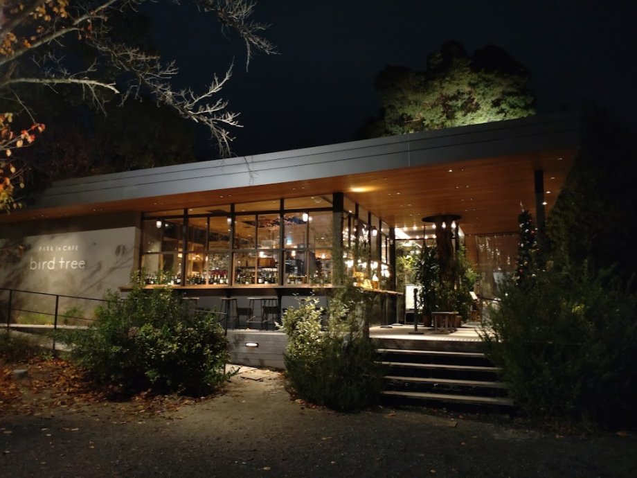 PARK in CAFE bird tree - Foto 14