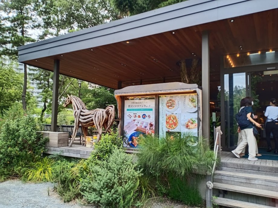 PARK in CAFE bird tree - Foto 15