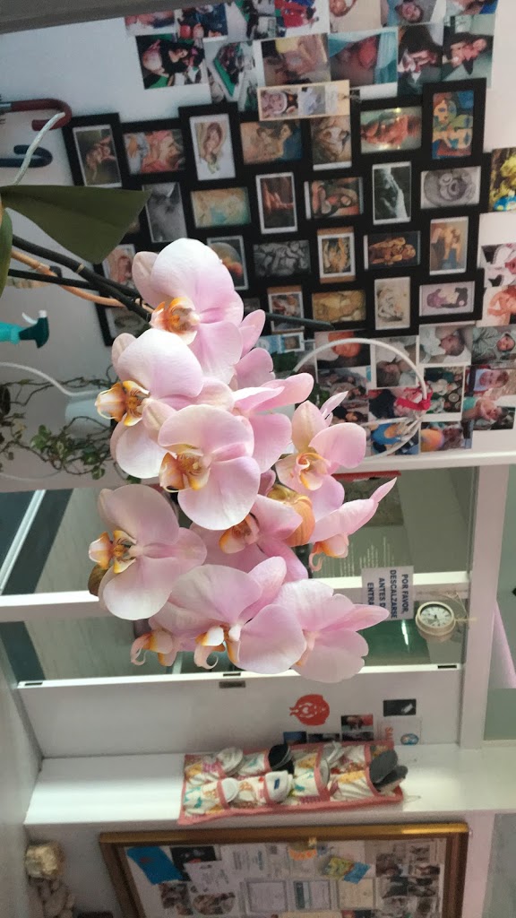 Centro De Apoyo Materno Infantil Alma Mater Doula 5