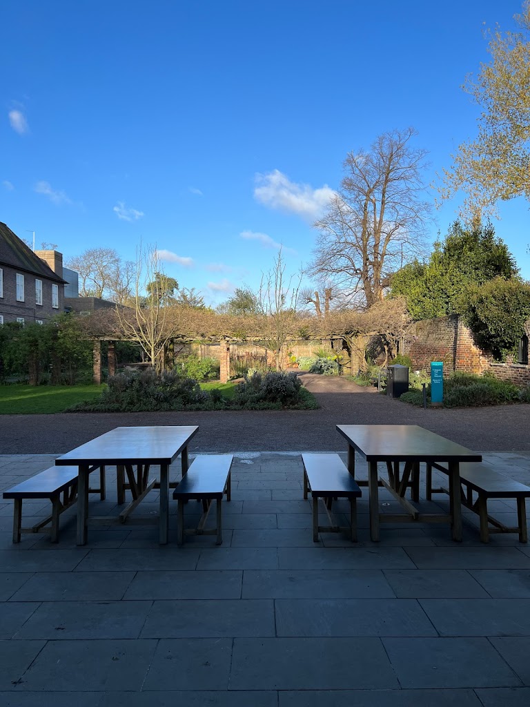 My Little Cup x Soane's Kitchen - Foto 2