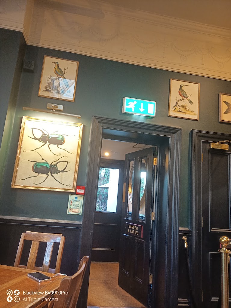 The Princess Victoria 5