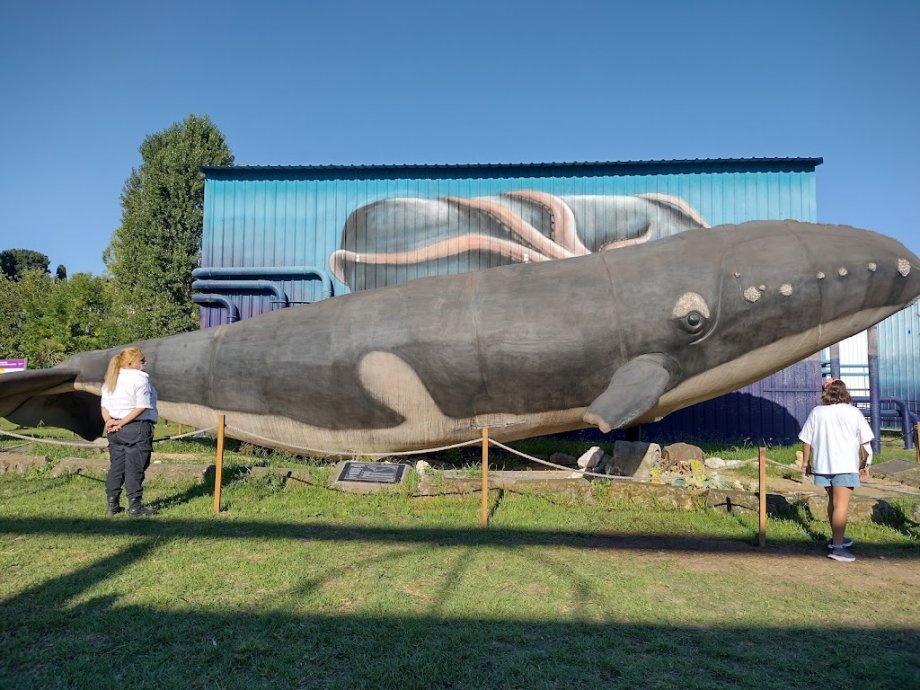 Tecnópolis - Foto 4