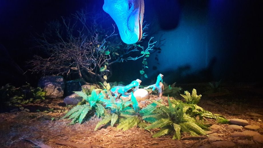 Tecnópolis - Foto 6