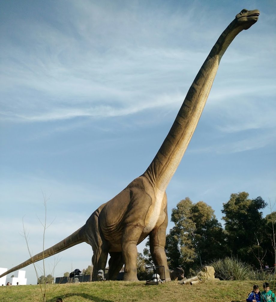 Tecnópolis - Foto 8