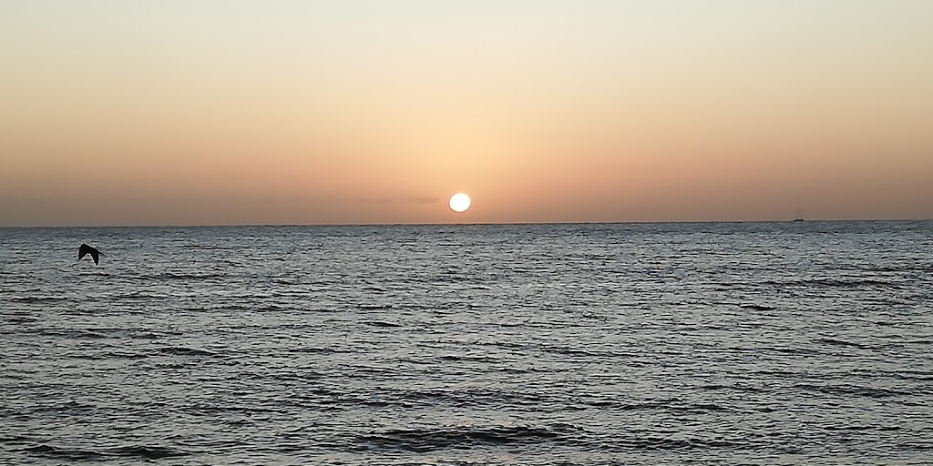 Parque de los Niños 3