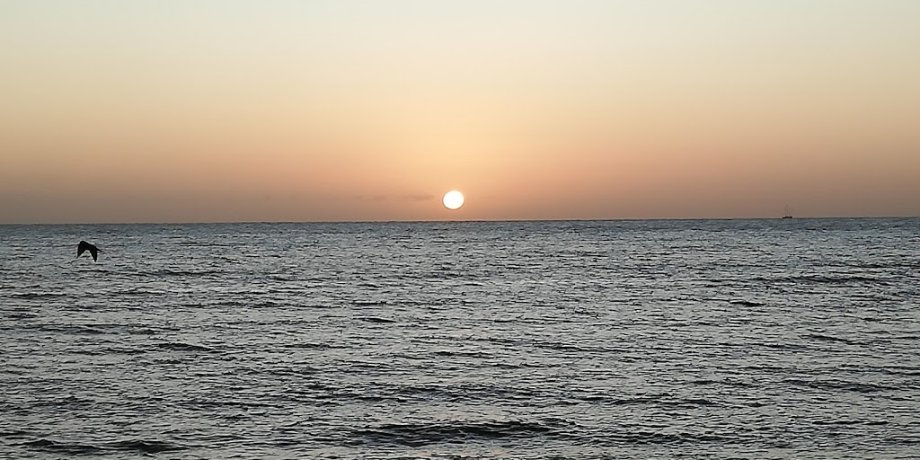 Parque de los Niños - Foto 4