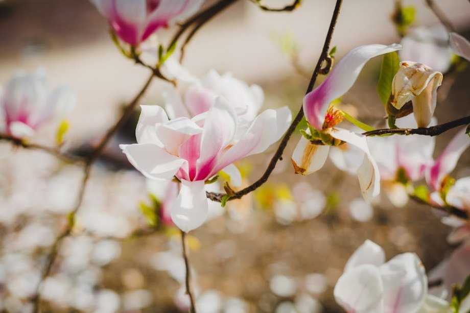 Bij de Fortwachter - Foto 2