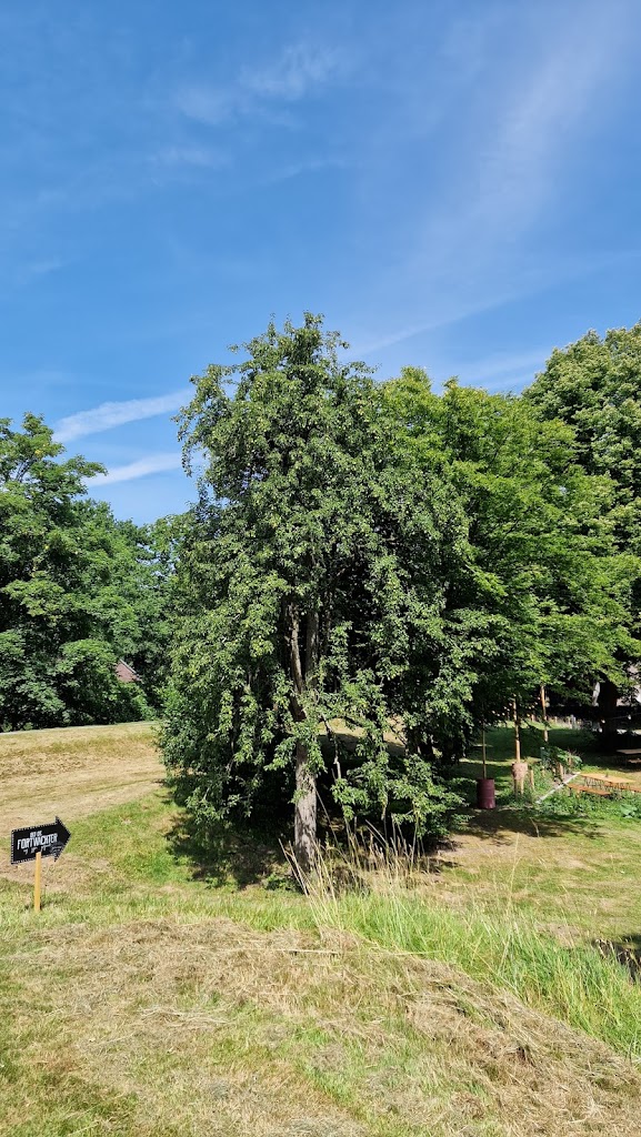 Bij de Fortwachter - Foto 10