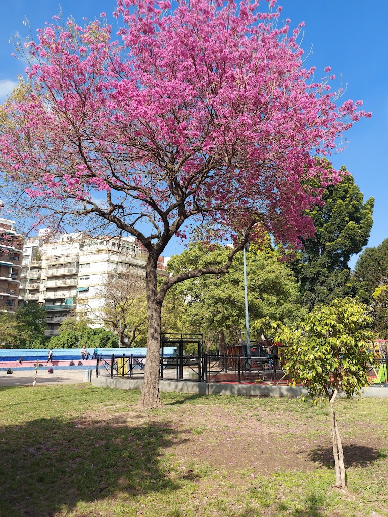Plaza Irlanda - Foto 1