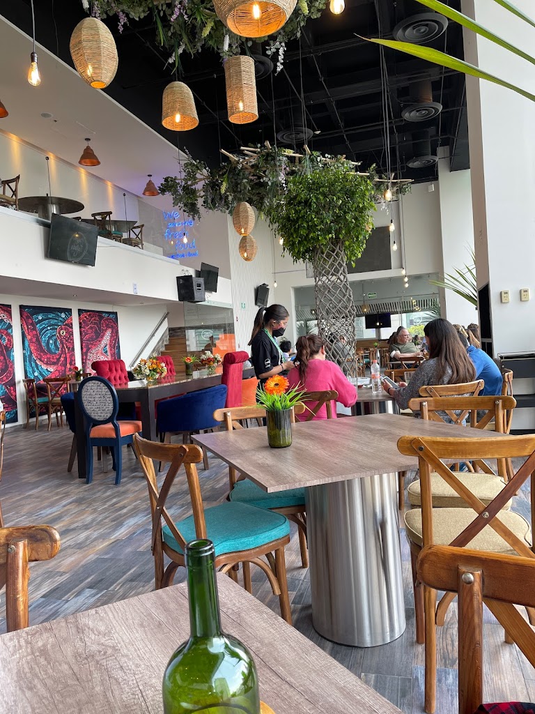 Las Hijas de la tostada Santa Fe - Foto 8