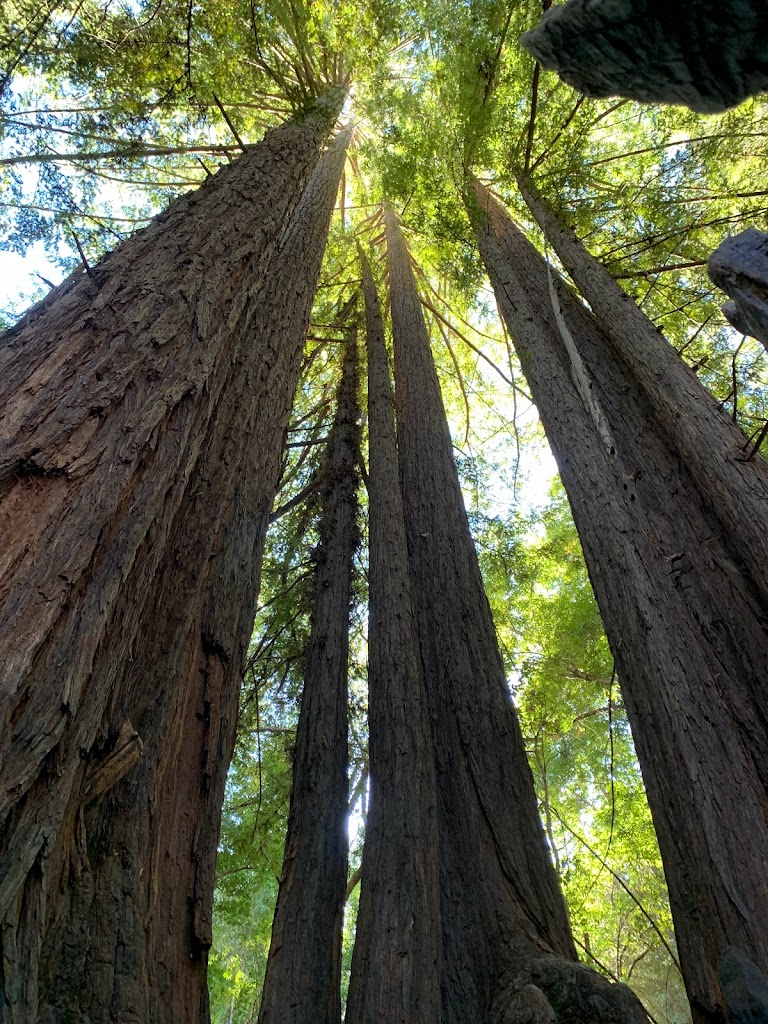 Sanborn County Park - Foto 2