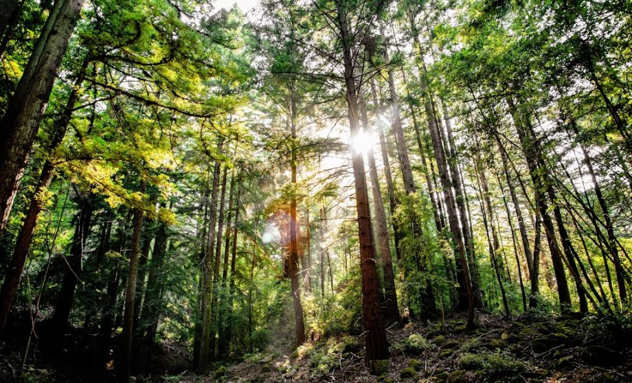 Sanborn County Park - Foto 5