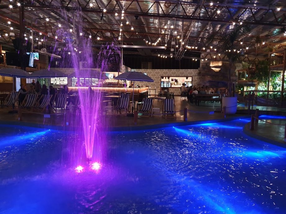 Moon Dog World - Foto 8