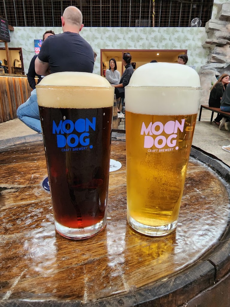 Moon Dog World - Foto 11