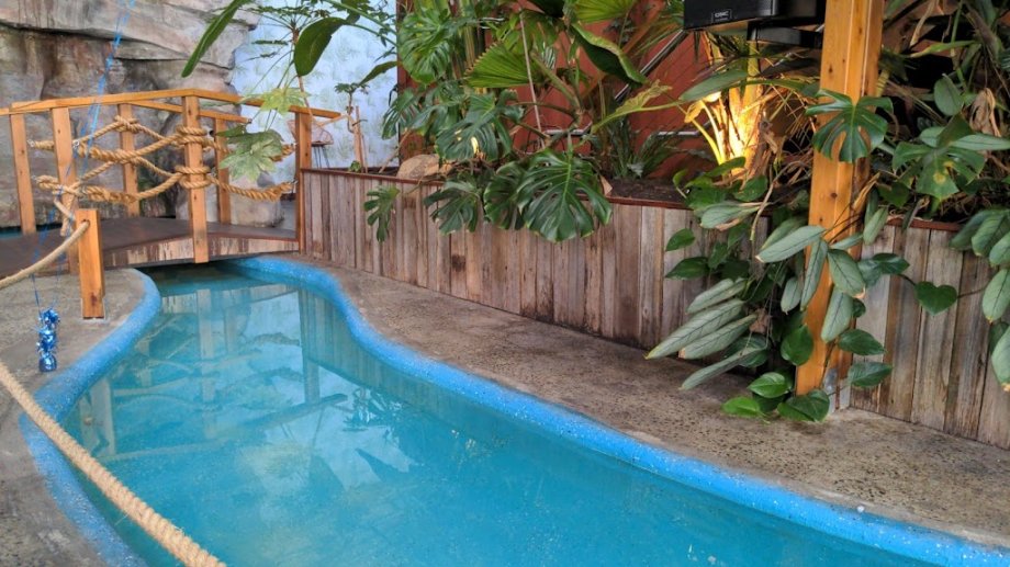 Moon Dog World - Foto 16