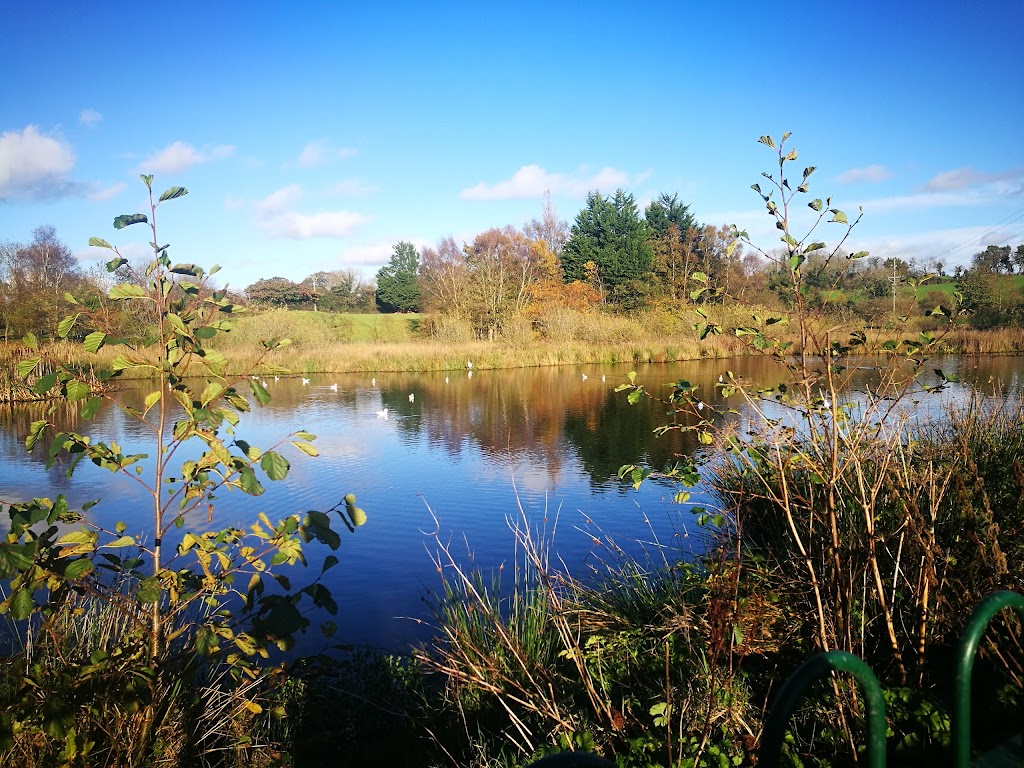 Scarva Park - Foto 1