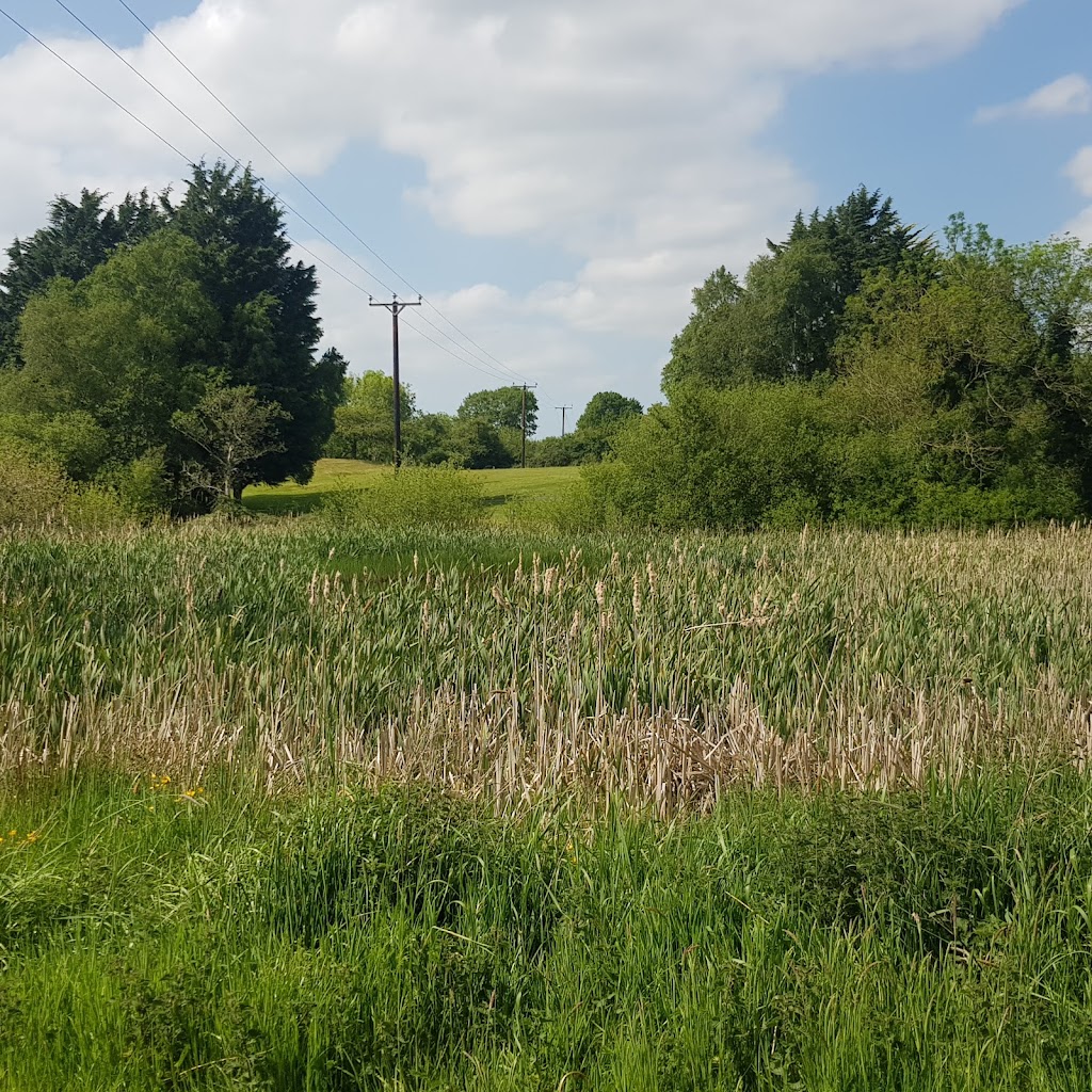 Scarva Park - Foto 1